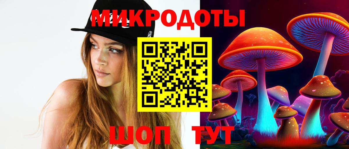 Новокубанск  Псилоцибиновые грибы Psilocybe  купить наркоту  Вход с VPN 